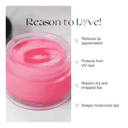 Generic Unisex Herbal Dark And Chapped Lips Rose Lip Balm (10gm)