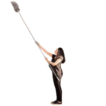 Generic Pack of 2 Fan Duster (Grey)