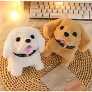 Generic Walking And Talking Dog (Multicolor)