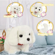 Generic Walking And Talking Dog (Multicolor)