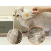 Generic Pack of 2 Pet Brush (Multicolor)